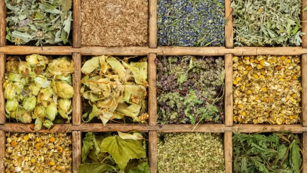 How to Choose a Dry Herb