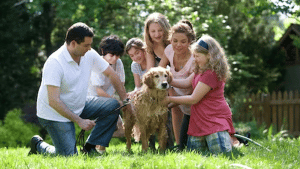 5 Expert Co-Parenting Tips to Keep Things Civil