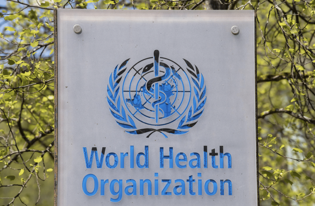 Recent Statement of the World Health Organization (WHO)