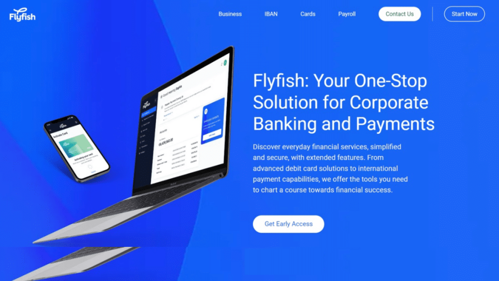 Flyfish Review – A Corporate IBAN Account Provider with Much to Offer