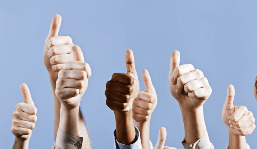 5 Organic Tactics to Increase Your Subscriber Count