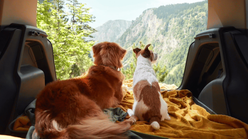 Quick Tips for Safe Travels with Your Furry Friend