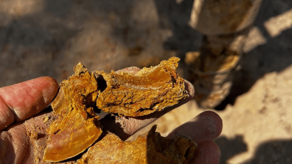 Why Soil Testing Matters in Melbourne’s Unique and Varied Landscapes