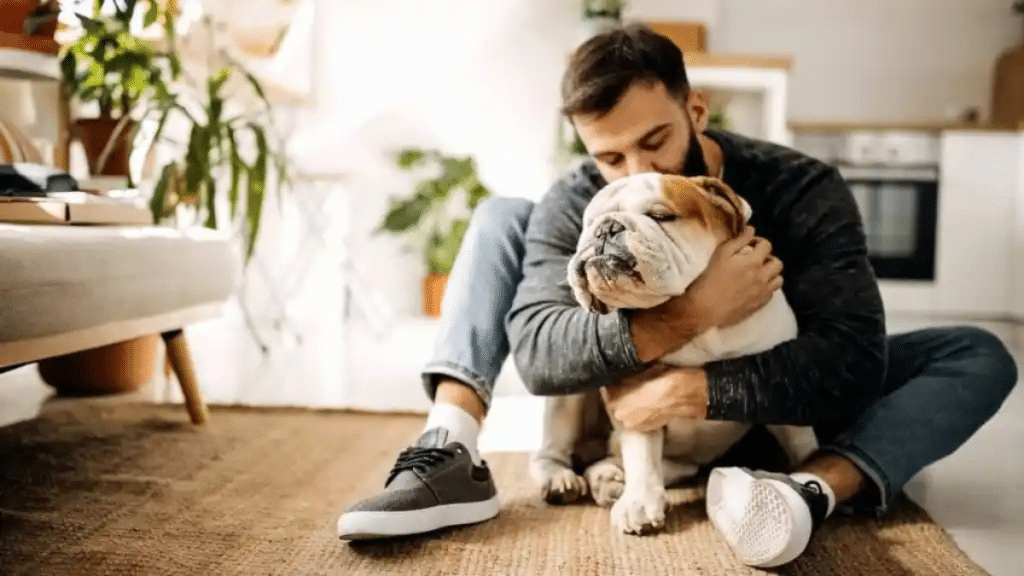 Condo Amenities to Look For When You’re a Fur Parent
