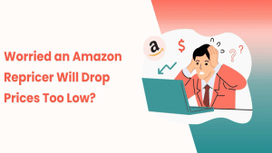 What to Do If You’re Afraid an Amazon Repricer Will Lower Prices Too Much